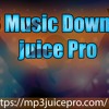 Fastest Youtube Videos Downloader