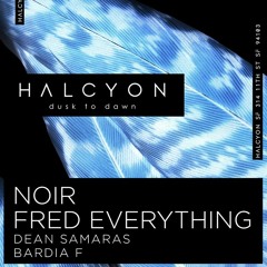 015 Halcyon SF Live - Noir
