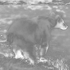 Birol - Paradoxe Club mixtape 10 "Visions"