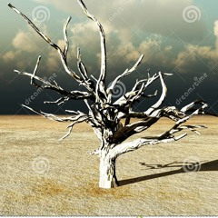 wilderness (live off the floor at 7th Harmonic Studios)