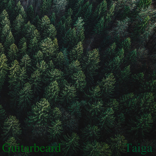 Taiga