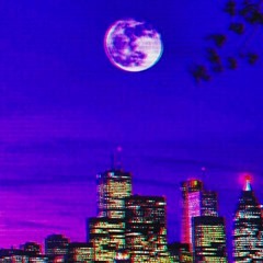 Vibe~