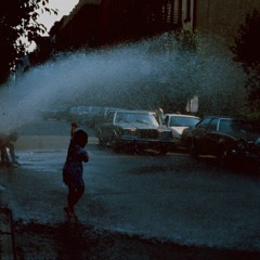 2 - Yellow Moon - Modri ( House )