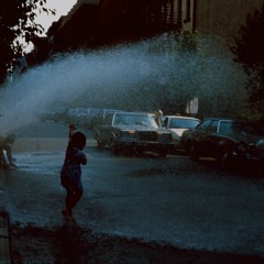 4 - White Moon - Modri ( House )