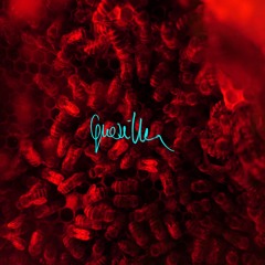 CO JEST DZIECI WE MGLE