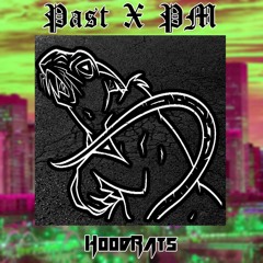 PAST X PM-HOODRATS