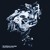 Artwork for The Spiritual Machines - Anyone Can Fly (Ranji Remix)