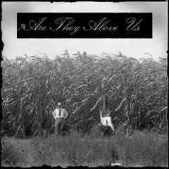 Petrichor Feat. Bob Ross