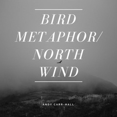 Bird Metaphor/ North Wind