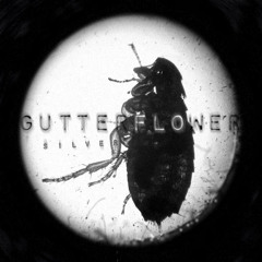 Where Did You Sleep Last Night? [Lead Belly/Nirvana Cover]