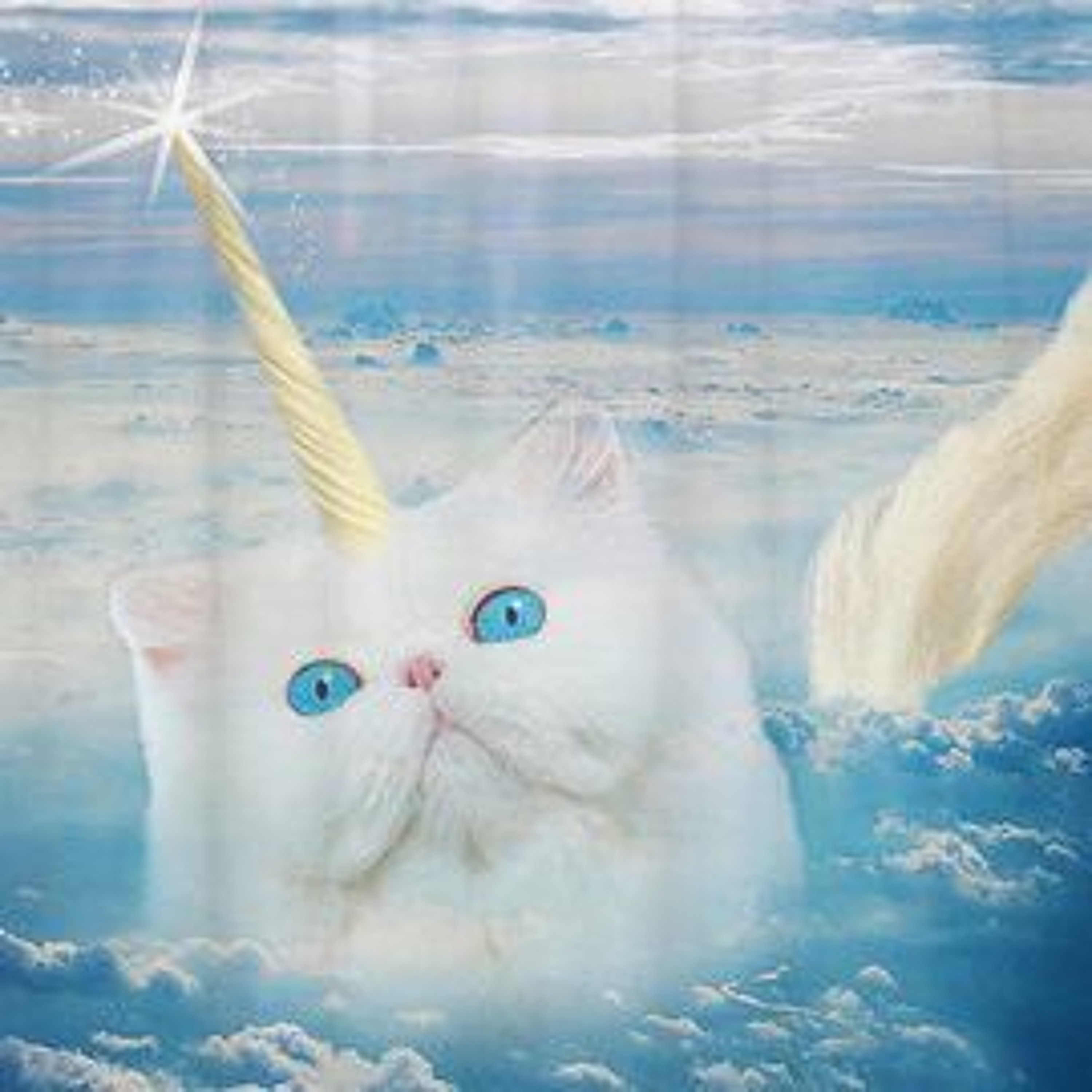 the caticorn episode artwork