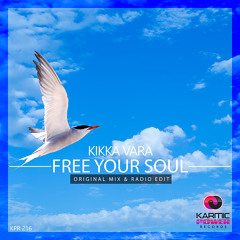 Free Your Soul (Karmic Power Records)