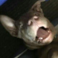 Bitch call me Captain