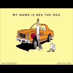 Rex The Dog | @OfficialCert