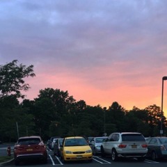 You Are The Color Blue