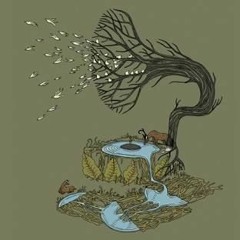 Mrsch - May Weather
