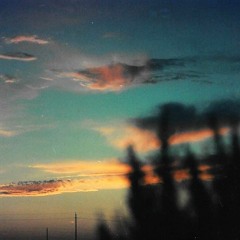 (The) Free Willie Nelson Mandela Effect (Re-recorded)