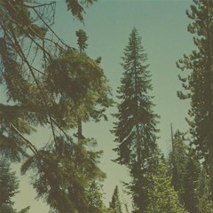 Local Natives - Ceilings (CHAPLIN Remix)