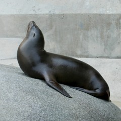 Sudamericano (Remix)