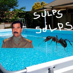 Sipelgas supleb Husseiniga basseinis