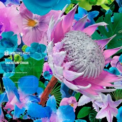 Unknown Error - Midnight special - 2017 MASTER HZN016B