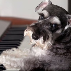 Radio Gaga (Bakermat Remix)