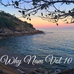 Why Nam Vol 10