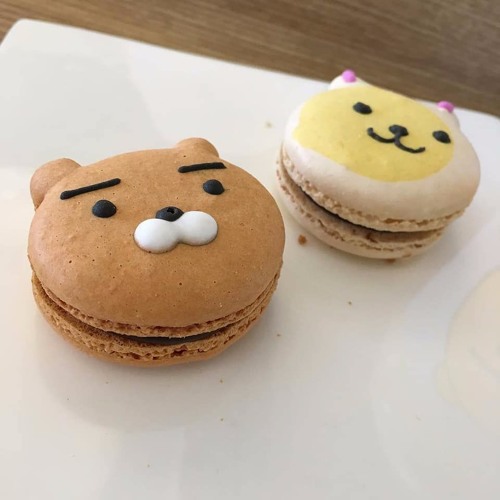 Nom Nom Nom Song