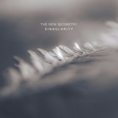 The New Geometry - Singularity