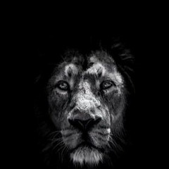 Jagga (Manjit Rupowalia)