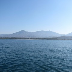 Analog Mind - Summer Breeze 2016