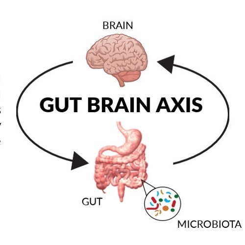 2017 - 05 - 16 CTD The Brain-Gut Axis: How Controlling Your Food ...