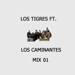 Mix Los Tigres ft.Los Caminantes Vol.1
