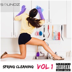 Spring Cleaning VOL 1
