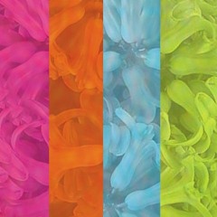 Pink And Orange, Blue And Green