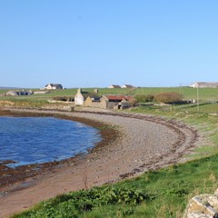 WEE KINSEY, by Fiona Driver