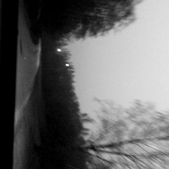 Camel Power Club - Ourson