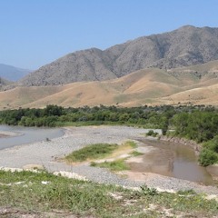 Aras