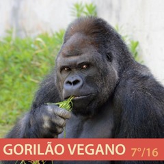 7° Programa 2016 - Gorila Vegano