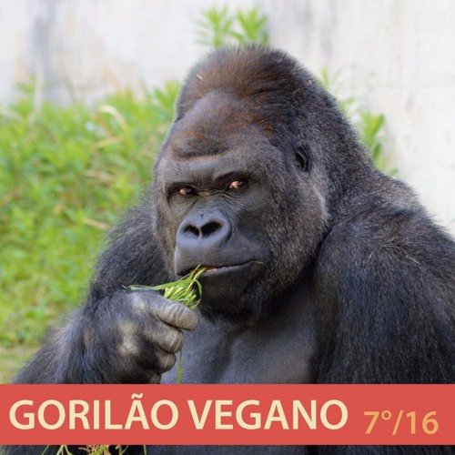 7° Programa 2016 - Gorila Vegano