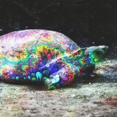 Glass Animals- Gooey (Imagined Herbal Flows Remix)