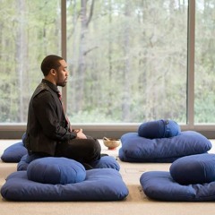 $haolin $tyle: Lotu$ Po$ition (UnMastered)