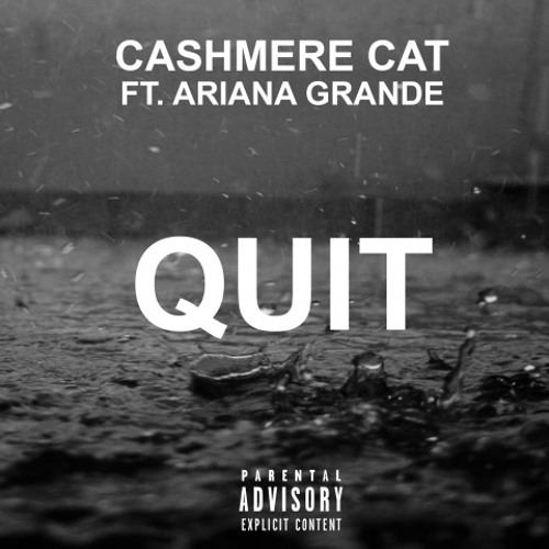 Image result for quit ariana cover