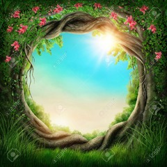 Live 2017 by Kapy Omd