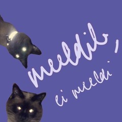 Meeldib, Ei Meeldi