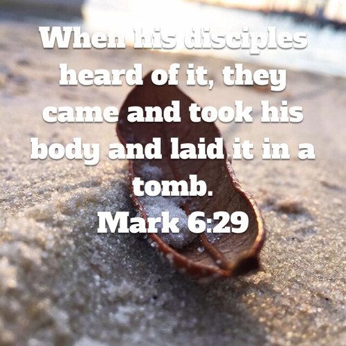 stream-mark-6-14-29-the-death-of-john-the-baptist-by-the-other