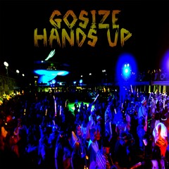 DZR889 : Gosize - Hands Up (Original Mix)