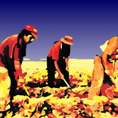 Hard Is My Bidness - Smash Boogie, DJ Live & Sherm