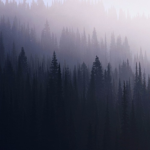 Stream how do i go from just meeting you, to you in my bed by Smoke