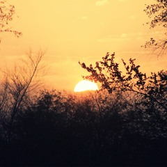 سورة الشمس ناصر القطامي